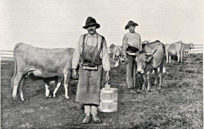 Repas de groupe sur commande Saint-Amans-des-Cots