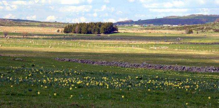 Traiteur spécialiste aligot Saint-Amans-des-Cots